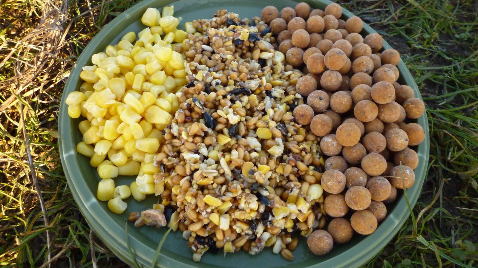 S B S - p1020775.JPG